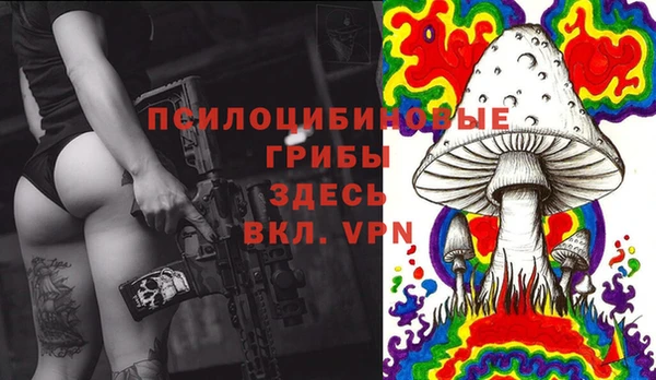 гидропоника Абинск