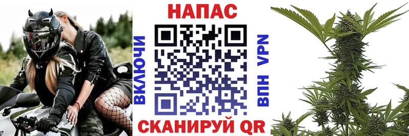 мега как зайти  Топки  нарко площадка какой сайт  Шишки марихуана гибрид 